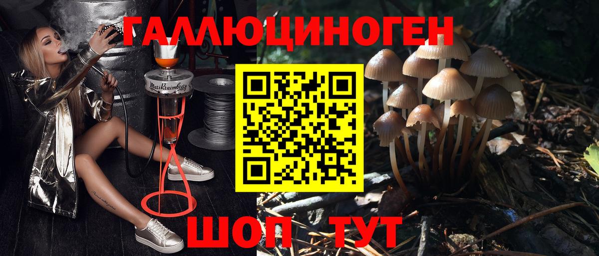 Тулун  Псилоцибиновые грибы MAGIC MUSHROOMS  Вход с VPN 